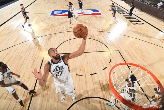 万年薪的顶 万年薪的顶