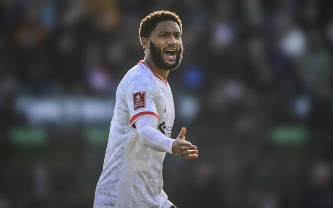 不仅对后者 不仅对后者